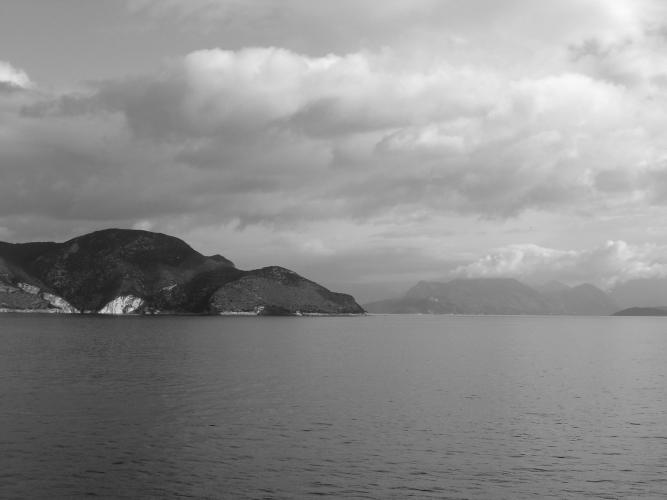 Immagine 1