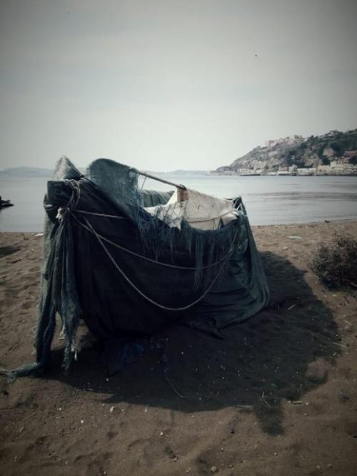 Immagine 1