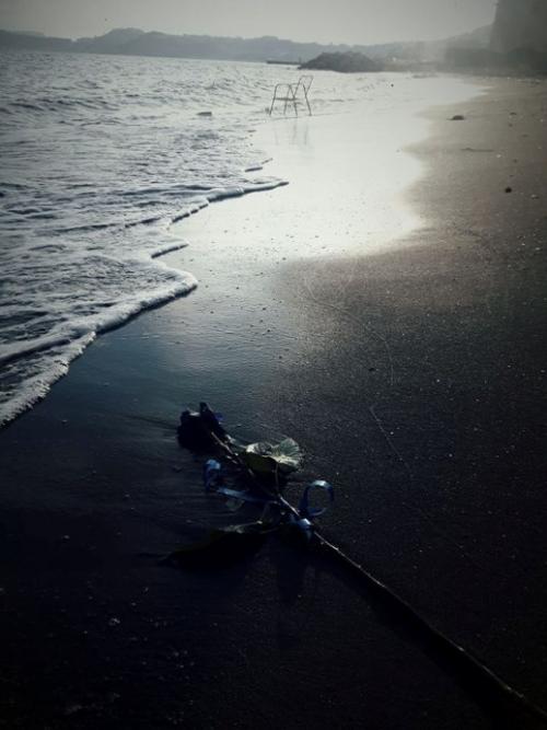 Immagine 1