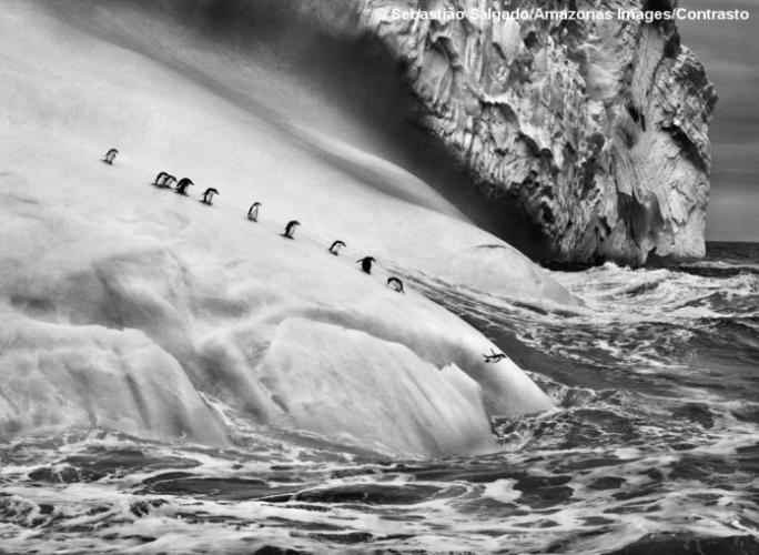 Immagine 1