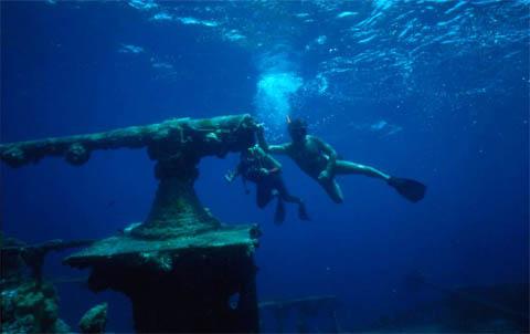 Immagine 1