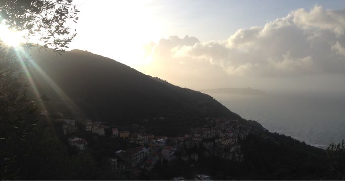 Immagine 1
