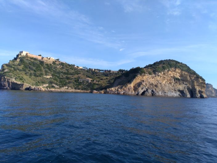 Immagine 1