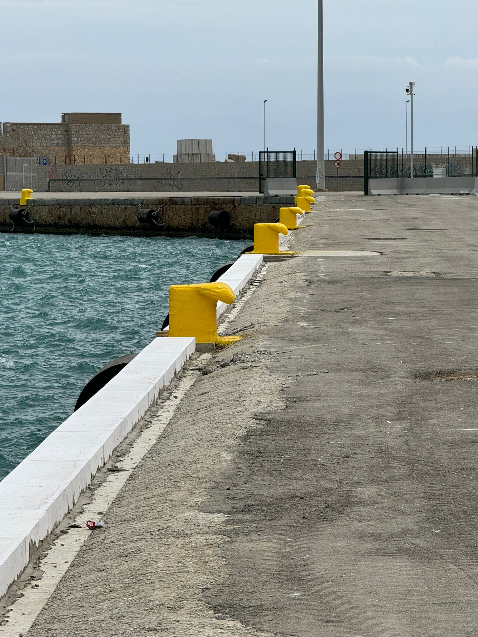Immagine 1